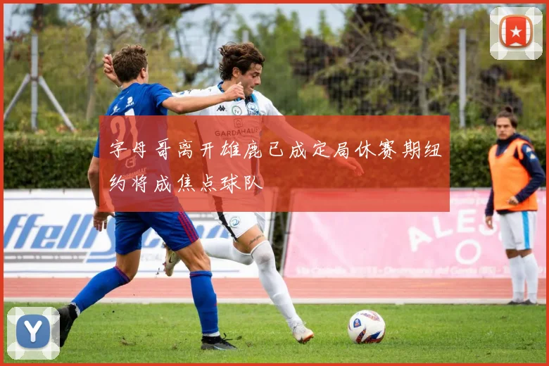 字母哥离开雄鹿已成定局休赛期纽约将成焦点球队