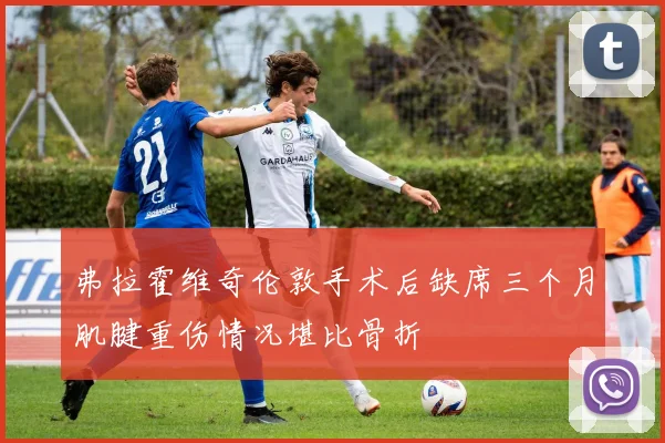 弗拉霍维奇伦敦手术后缺席三个月肌腱重伤情况堪比骨折