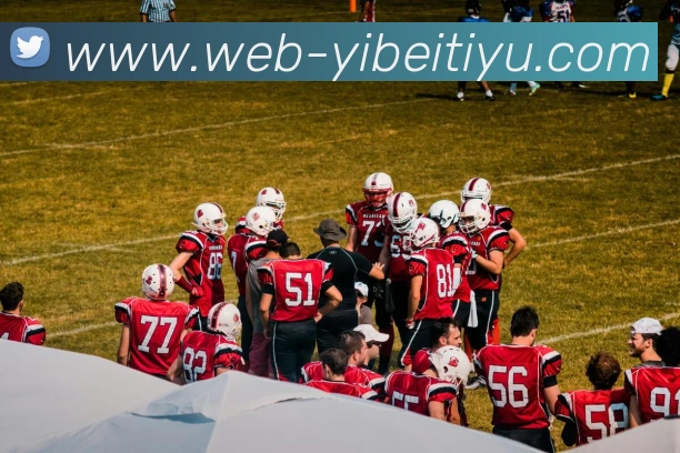 易倍体育发展历程