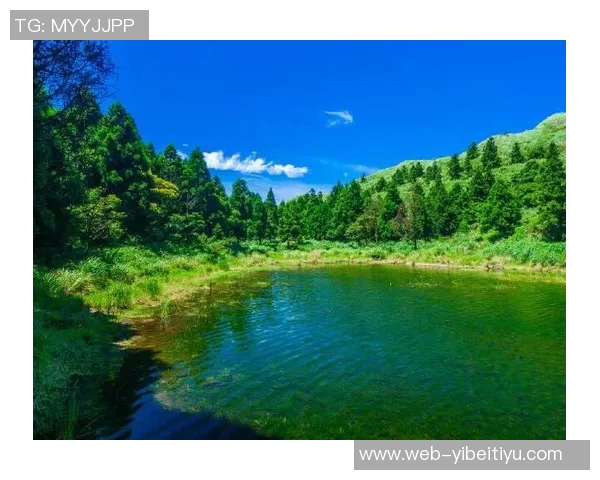 受限制自由球员动态更新格莱姆斯未续约小火车获报价库明加续约两年解析